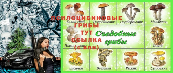 метадон Ельня
