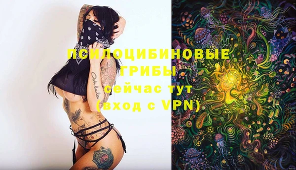 метадон Ельня