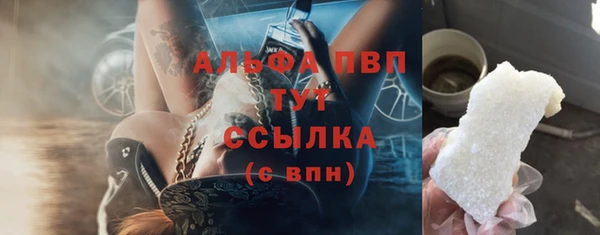 мдпв Елабуга