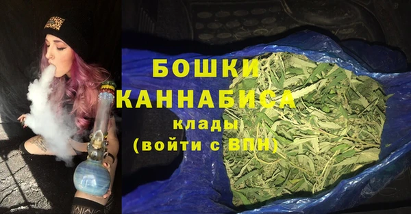 мдпв Елабуга