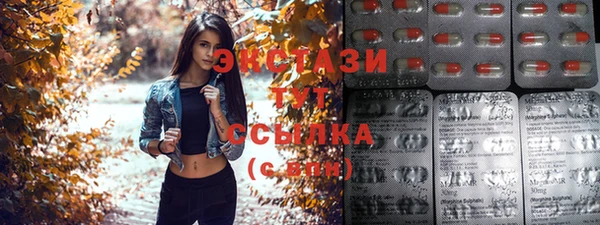 мдпв Елабуга