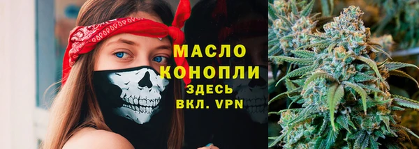 мдпв Елабуга