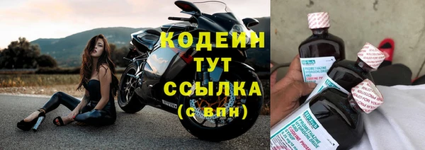 метадон Ельня
