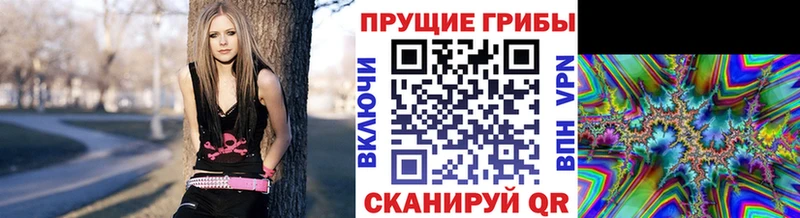 Галлюциногенные грибы Magic Shrooms  Купить закладки  Зеленокумск 